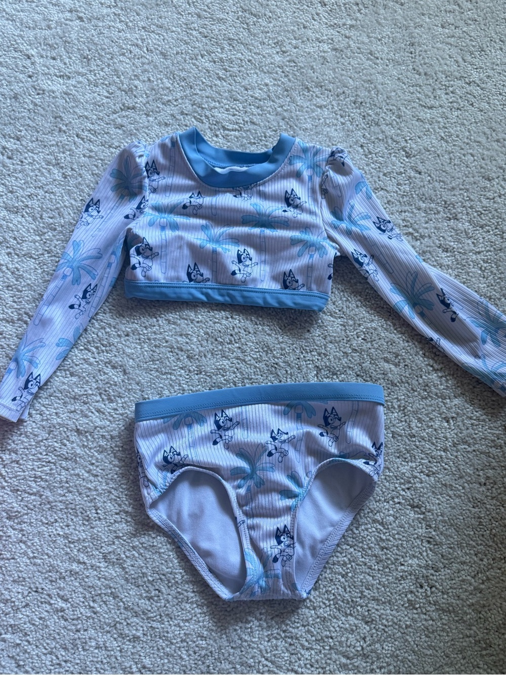 Bluey Two Piece 2T